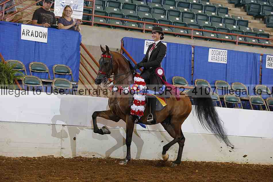 Proof Number 13r12_4107