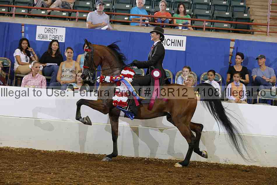 Proof Number 13r12_4108