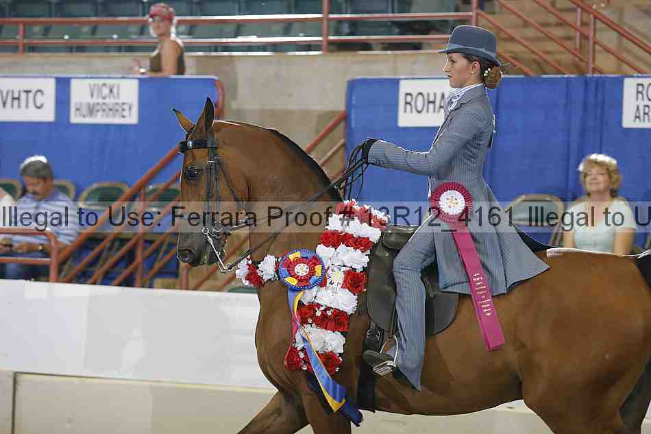 Proof Number 13r12_4161