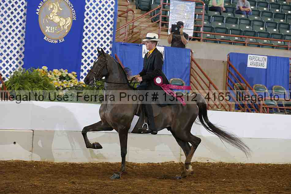 Proof Number 13r12_4165