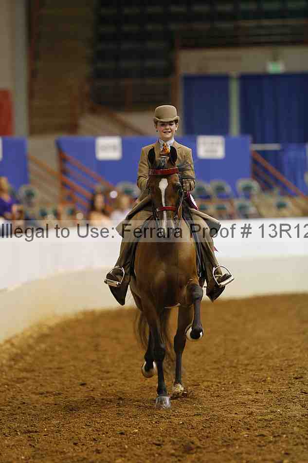 Proof Number 13r12_4174