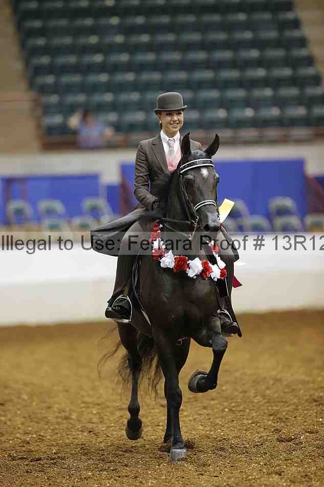 Proof Number 13r12_4178