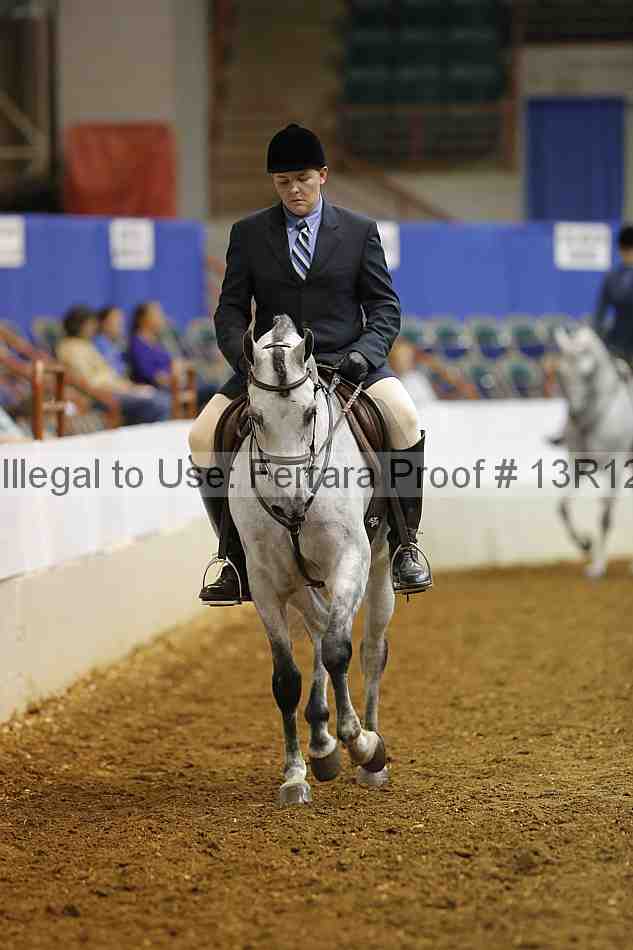 Proof Number 13r12_4191