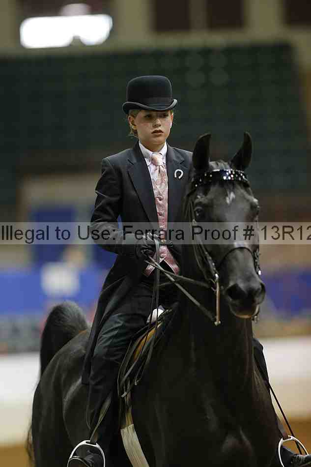 Proof Number 13r12_4230