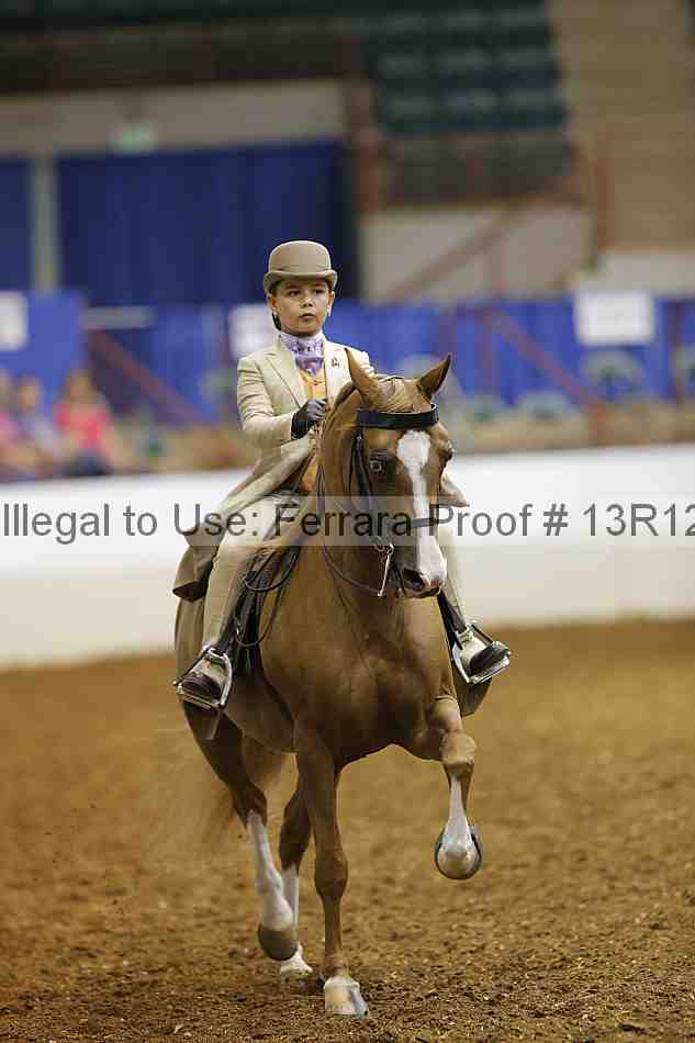 Proof Number 13r12_4233