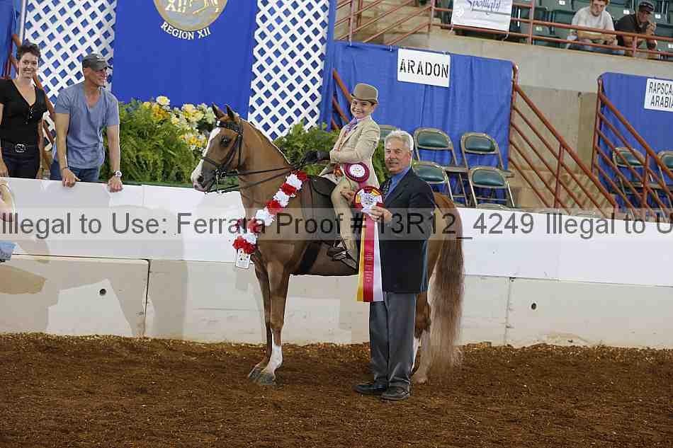 Proof Number 13r12_4249