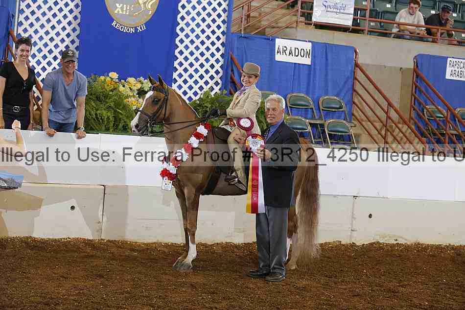 Proof Number 13r12_4250