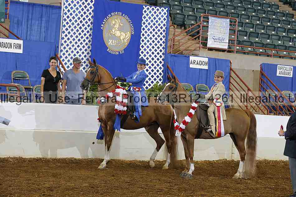 Proof Number 13r12_4261