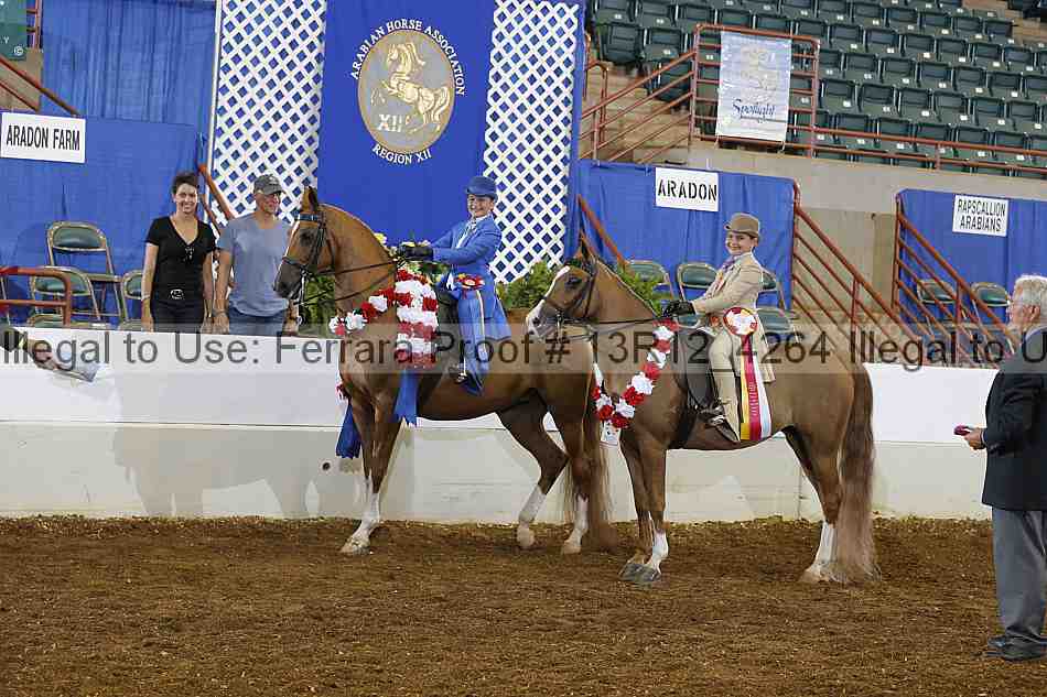 Proof Number 13r12_4264