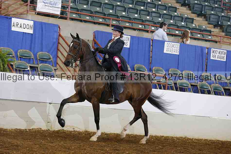 Proof Number 13r12_4276