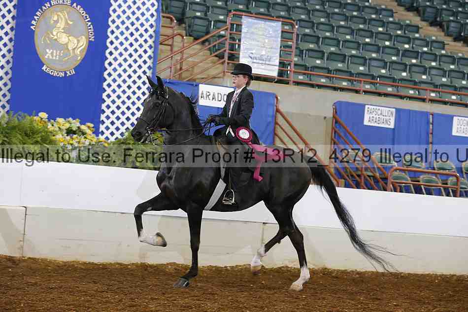Proof Number 13r12_4279