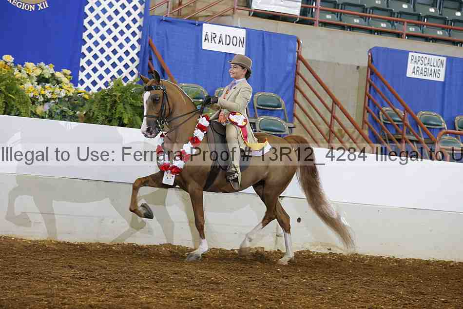Proof Number 13r12_4284