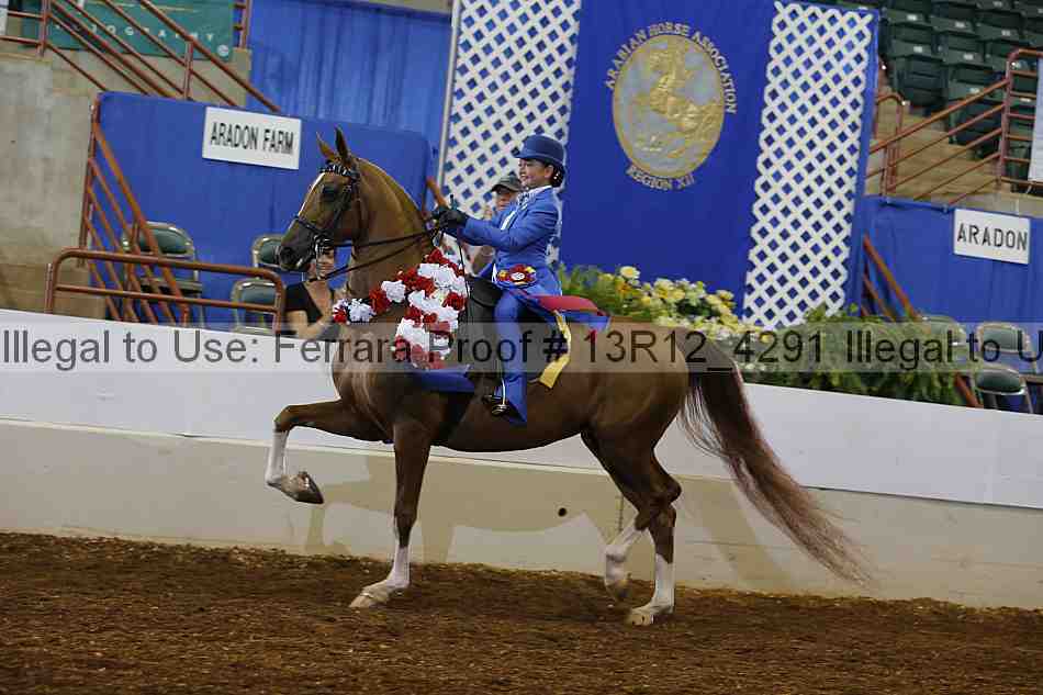 Proof Number 13r12_4291
