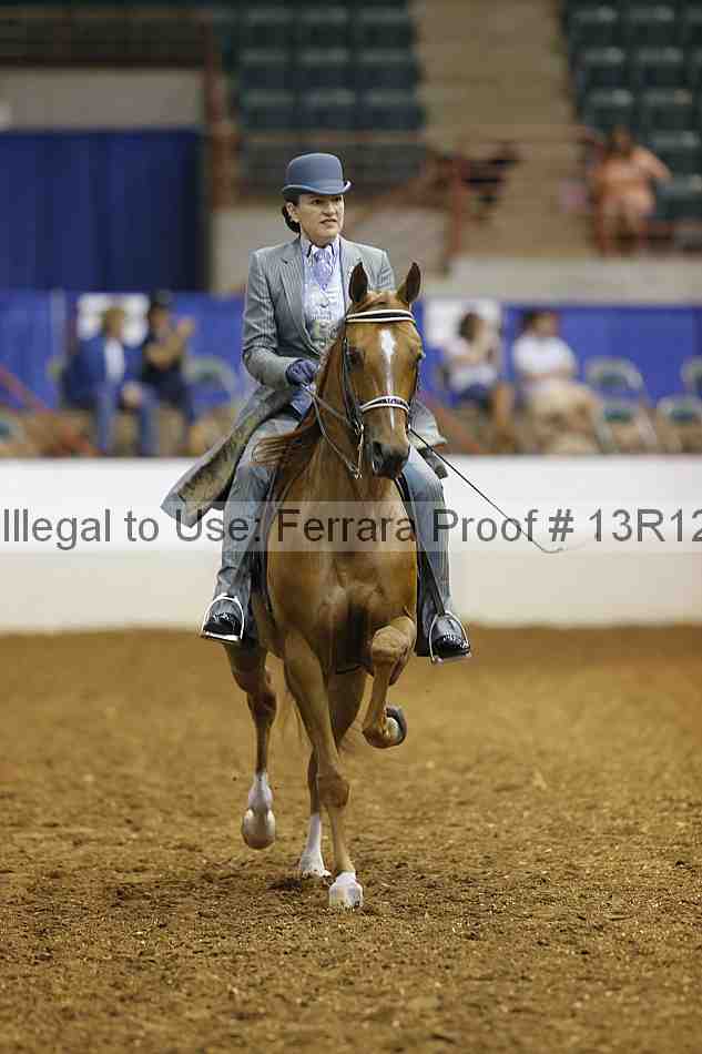 Proof Number 13r12_4313