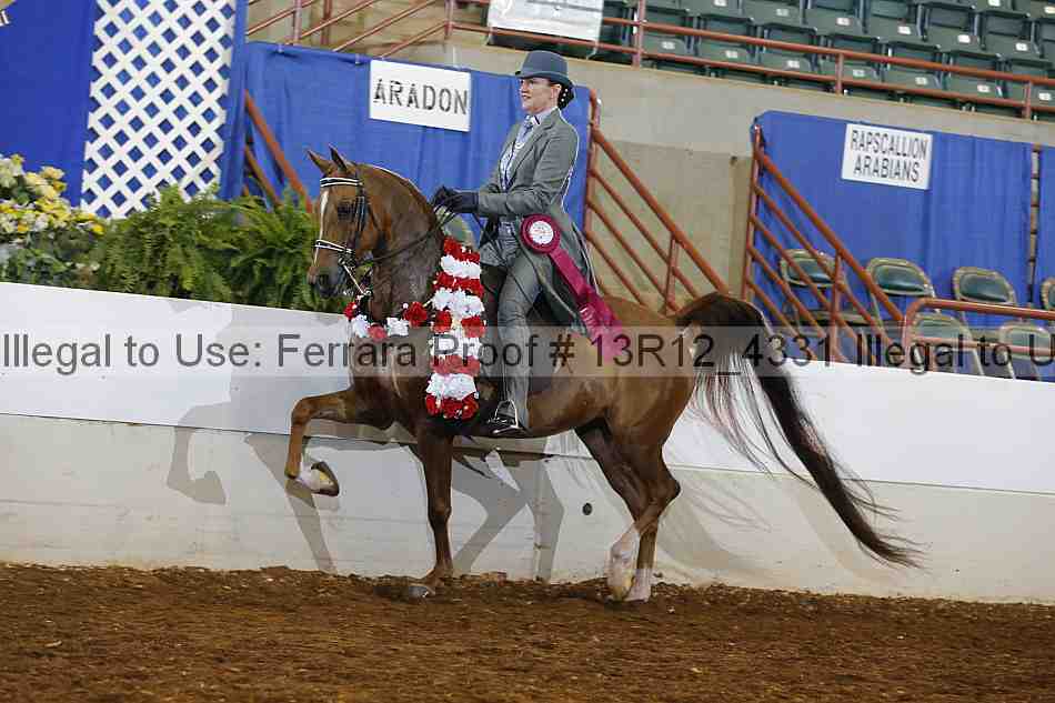 Proof Number 13r12_4331