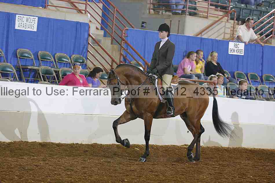Proof Number 13r12_4335