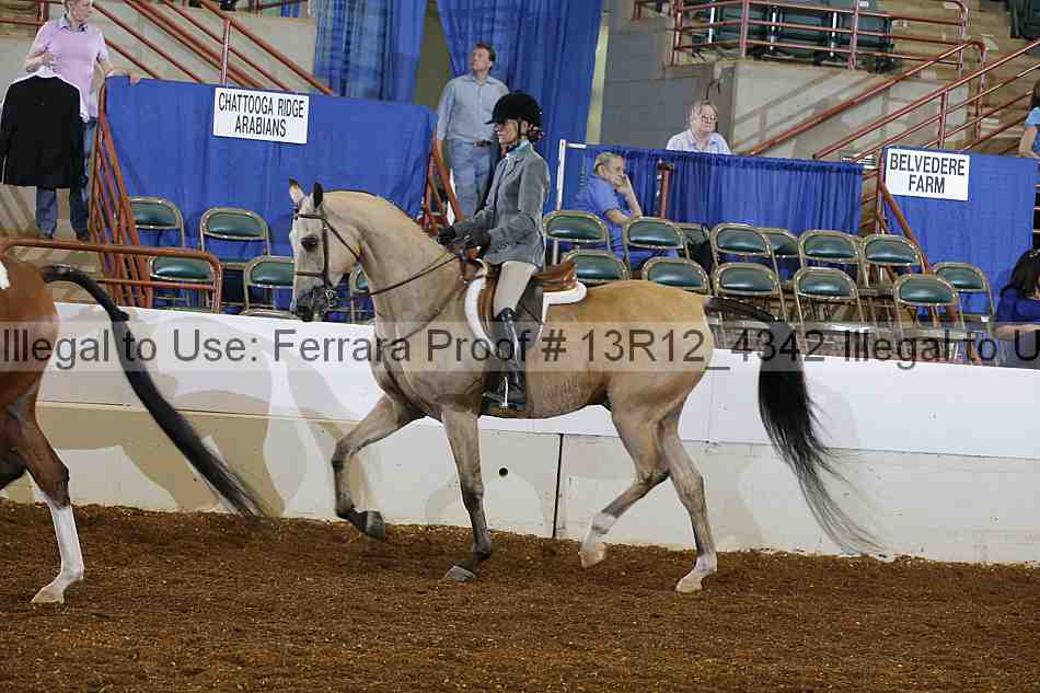 Proof Number 13r12_4342