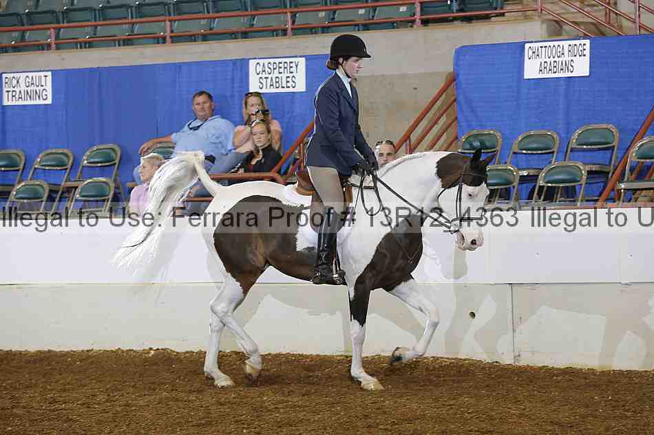 Proof Number 13r12_4363