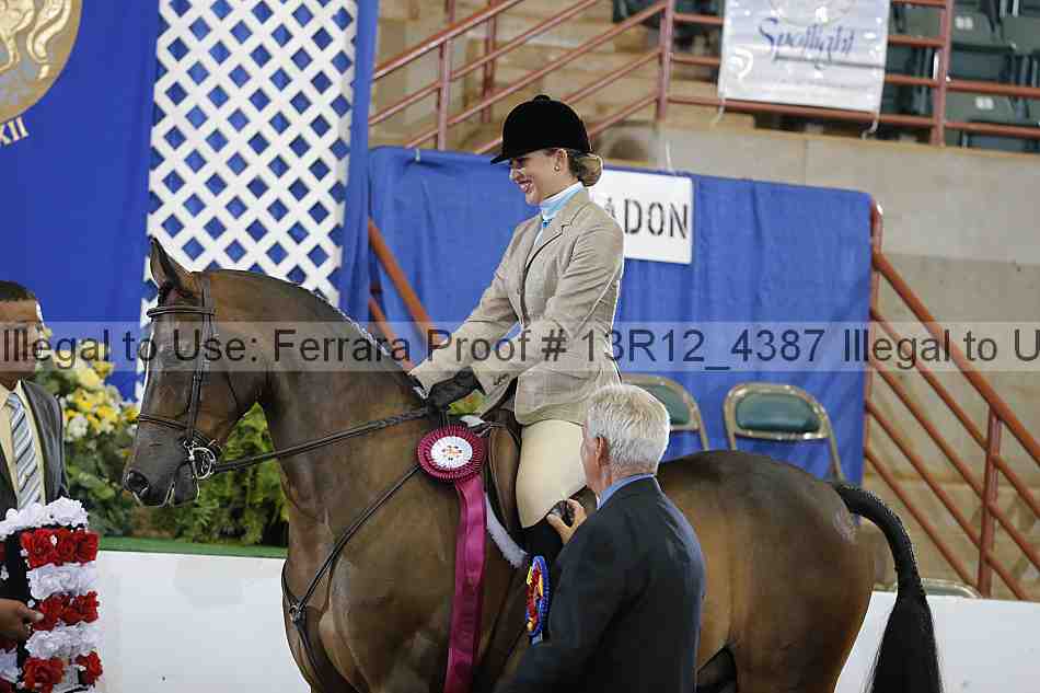 Proof Number 13r12_4387