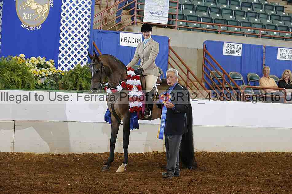 Proof Number 13r12_4389