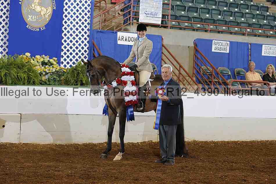 Proof Number 13r12_4390