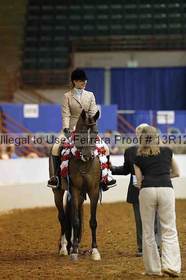 Proof Number 13r12_4391