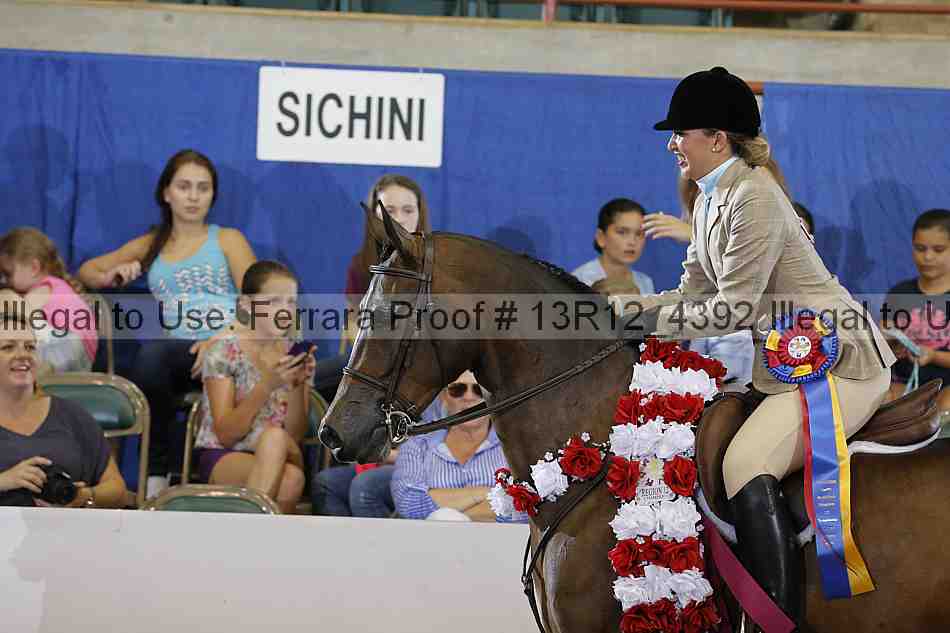 Proof Number 13r12_4392