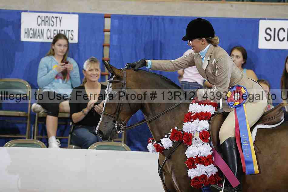 Proof Number 13r12_4393