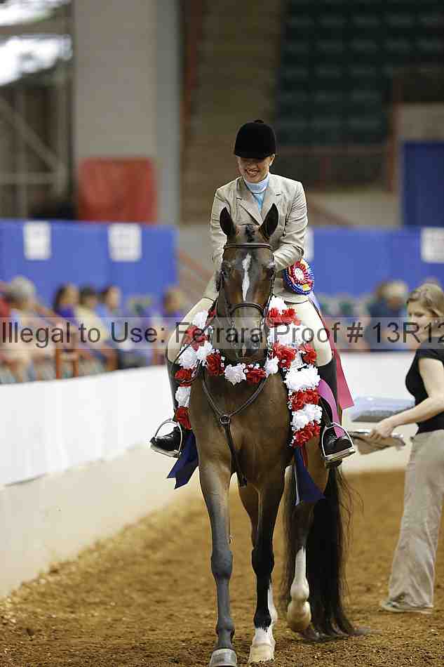 Proof Number 13r12_4395