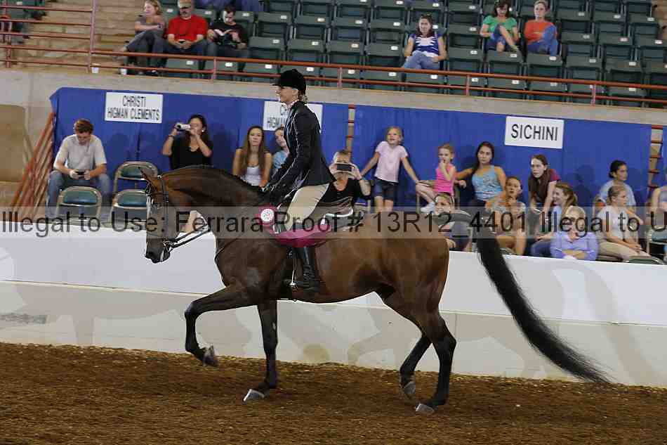 Proof Number 13r12_4401