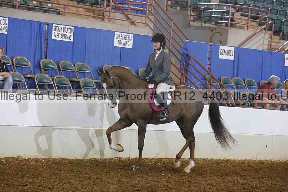 Proof Number 13r12_4403