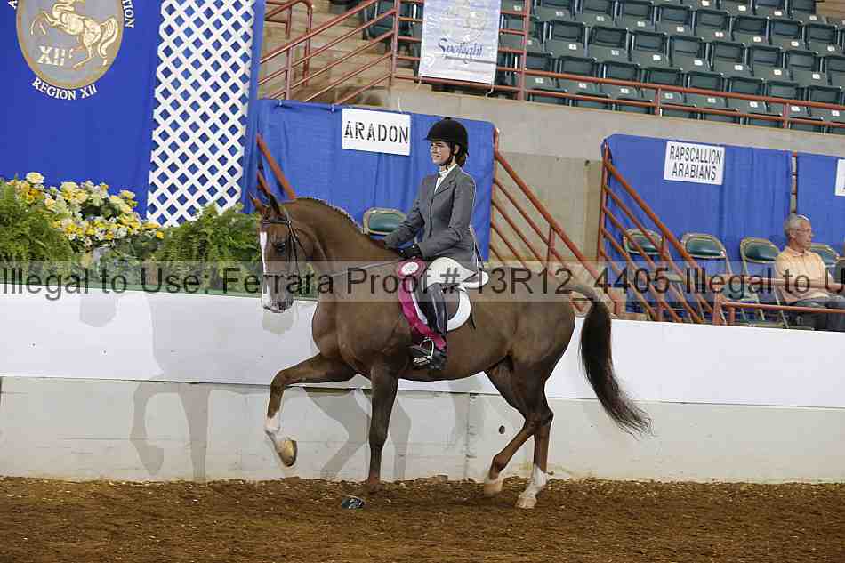 Proof Number 13r12_4405
