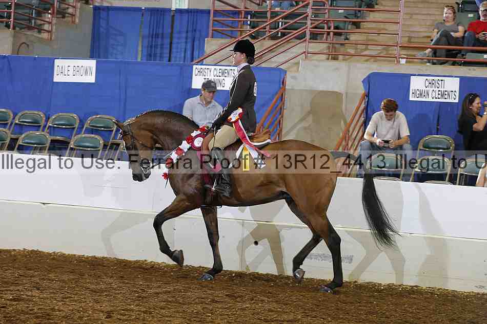 Proof Number 13r12_4413
