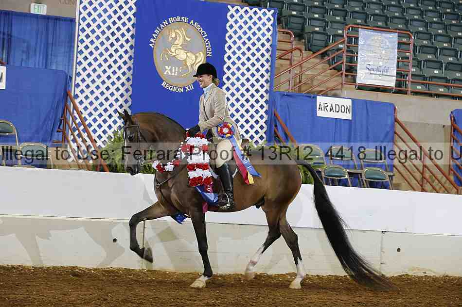 Proof Number 13r12_4418