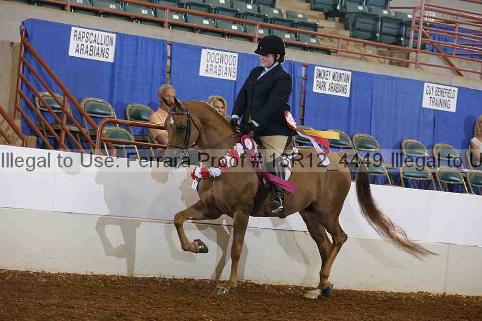 Proof Number 13r12_4449