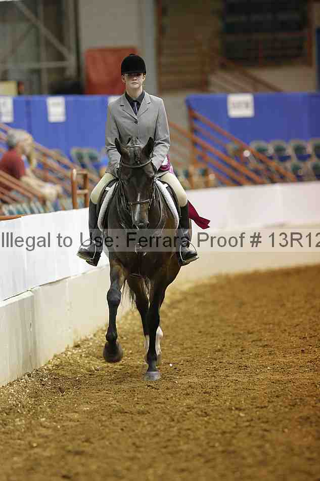 Proof Number 13r12_4456