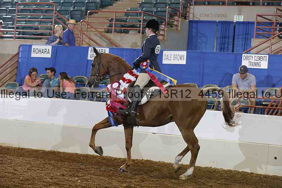 Proof Number 13r12_4459