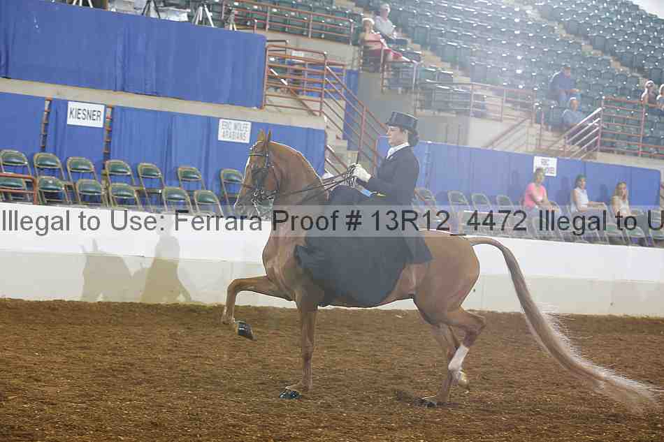 Proof Number 13r12_4472