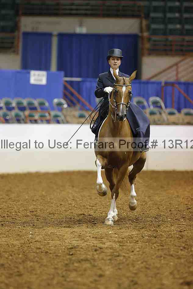 Proof Number 13r12_4485