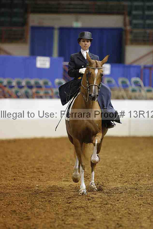 Proof Number 13r12_4487