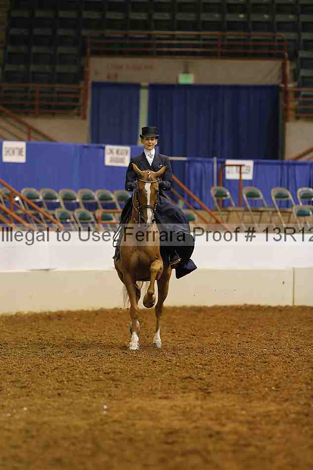 Proof Number 13r12_4490