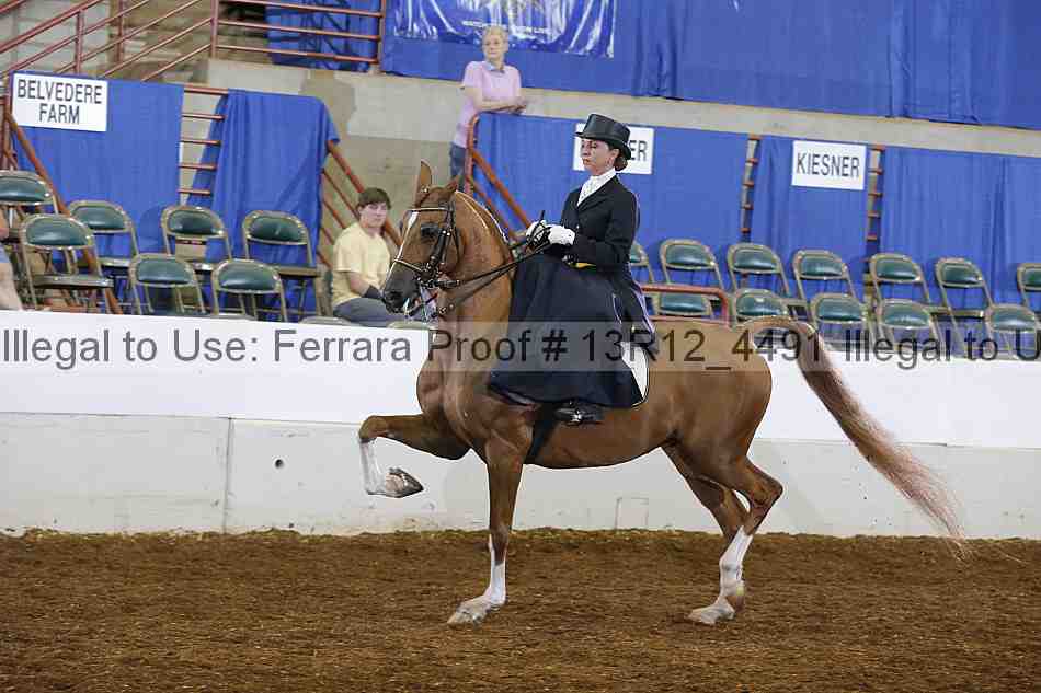 Proof Number 13r12_4491