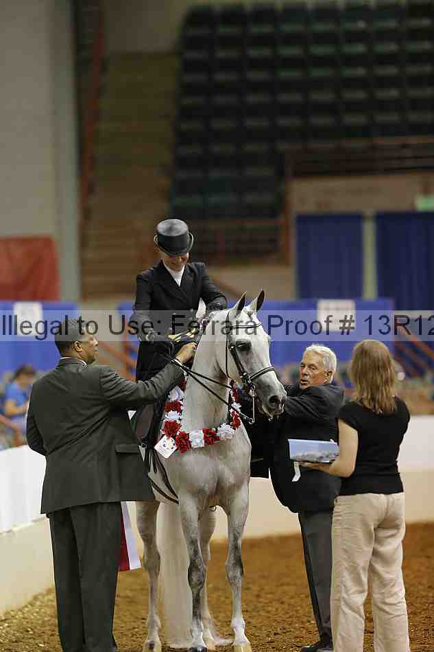 Proof Number 13r12_4494