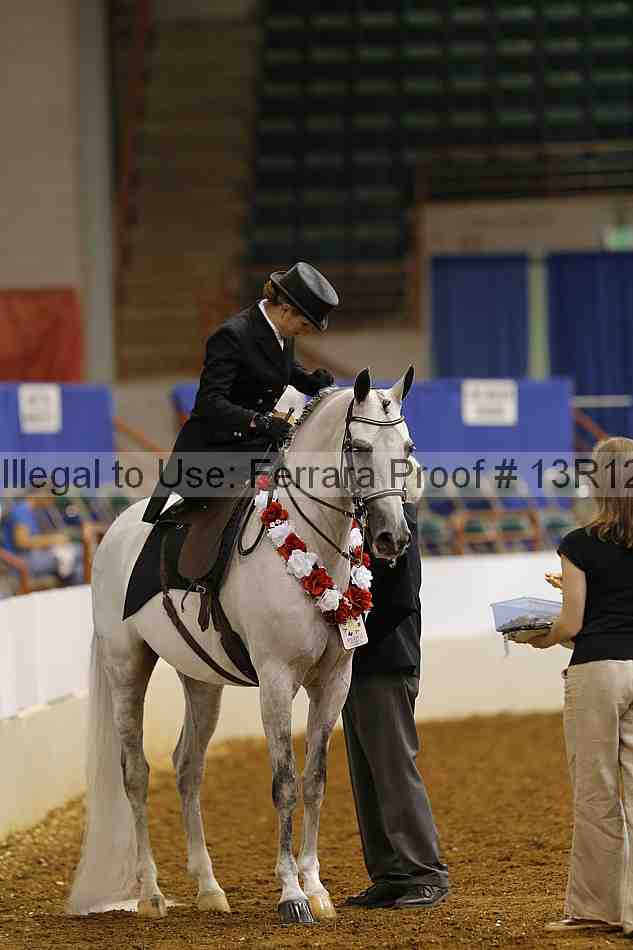 Proof Number 13r12_4497
