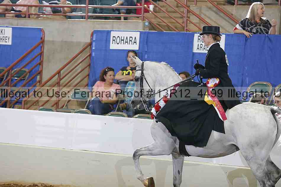 Proof Number 13r12_4499
