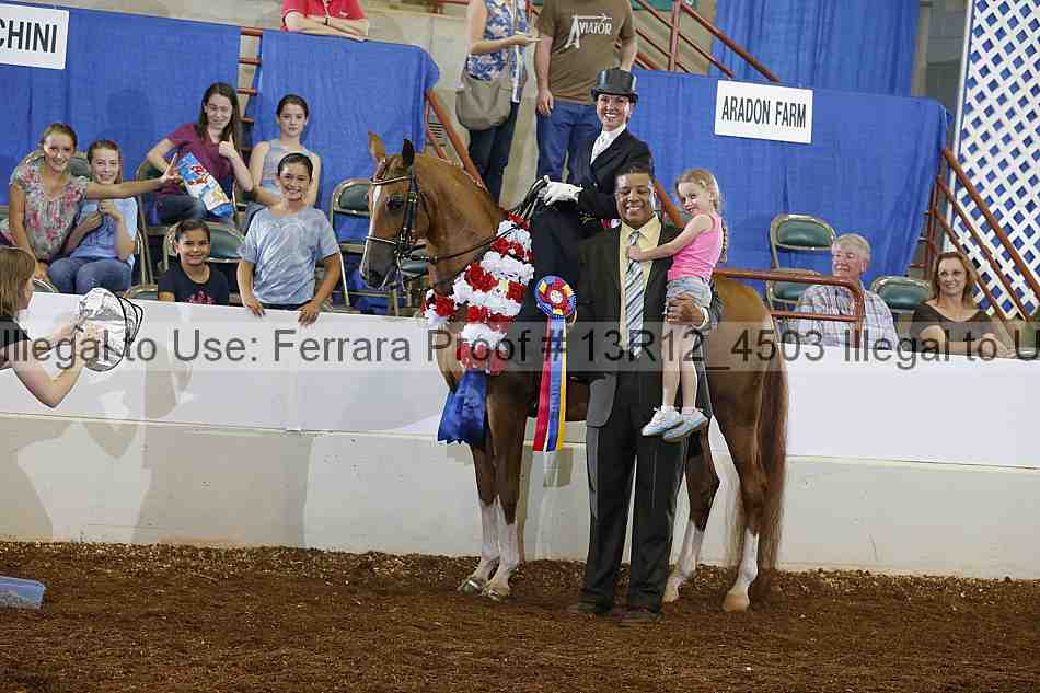 Proof Number 13r12_4503