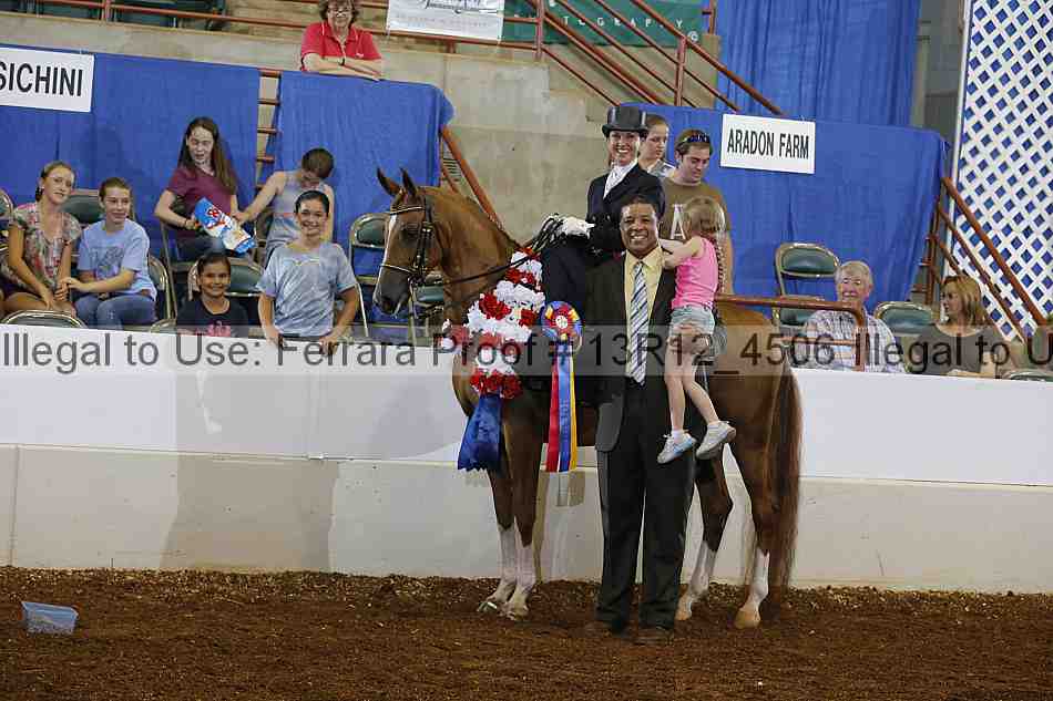 Proof Number 13r12_4506