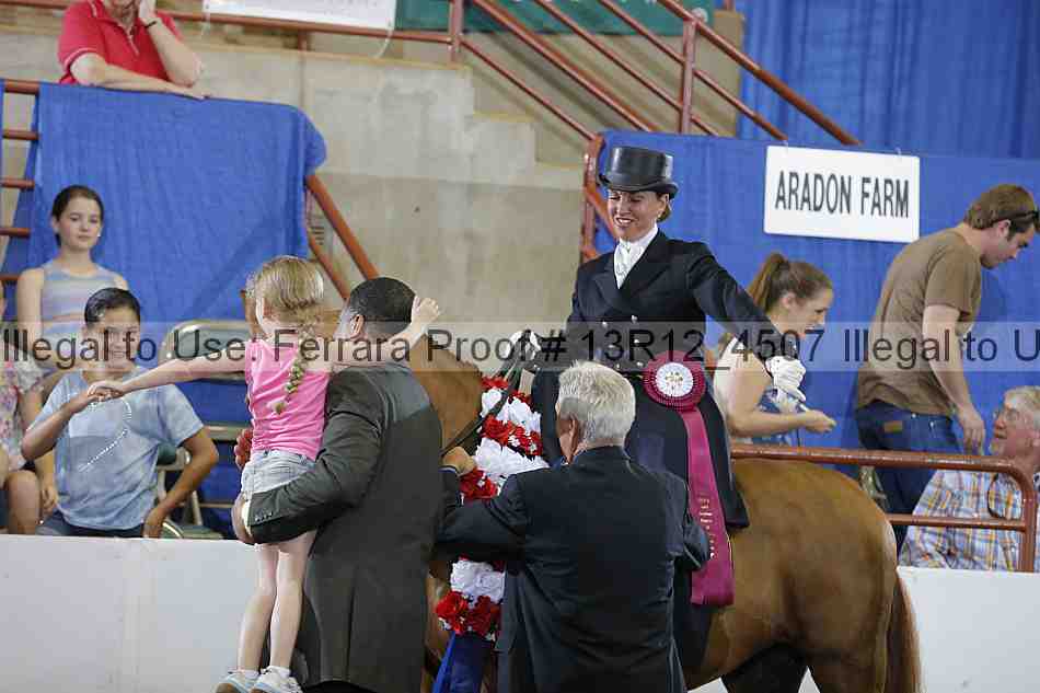 Proof Number 13r12_4507