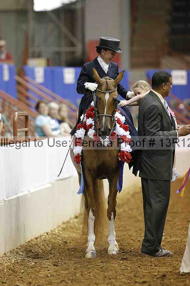 Proof Number 13r12_4508