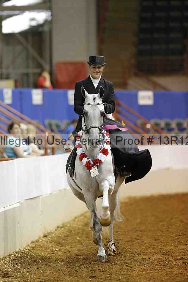 Proof Number 13r12_4528